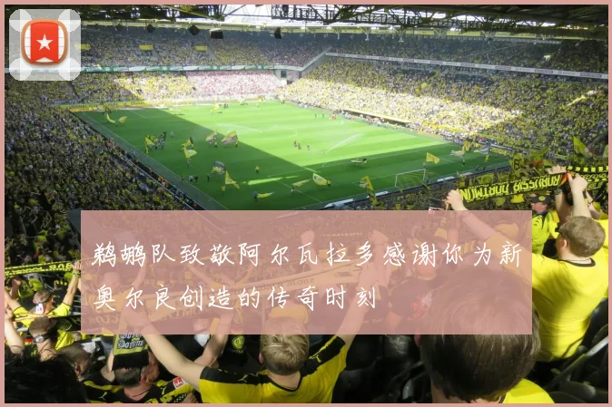 鹈鹕队致敬阿尔瓦拉多感谢你为新奥尔良创造的传奇时刻